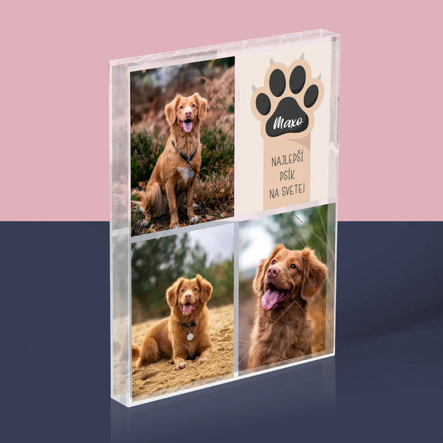 Fotokoláž: Najlepší Pes - Akrylový Blok (Vertikálne)