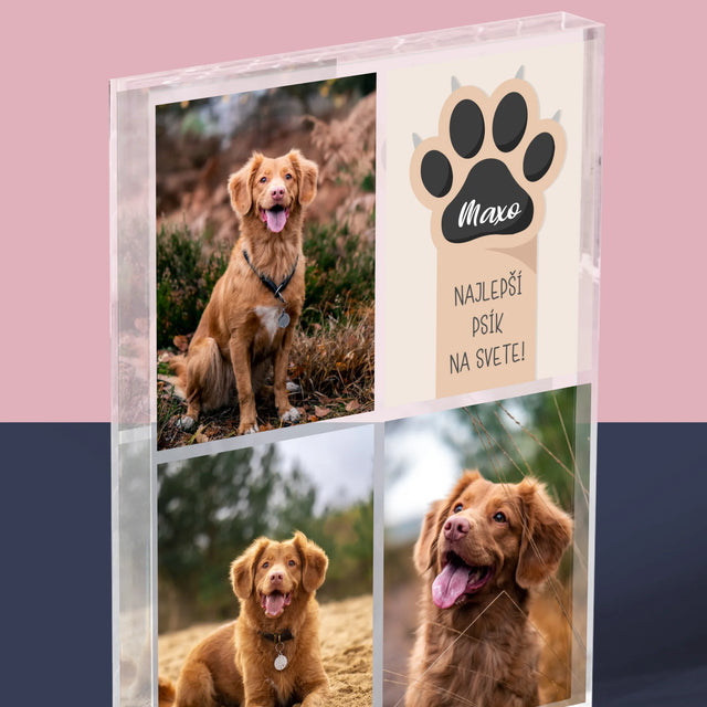 Fotokoláž: Najlepší Pes - Akrylový Blok (Vertikálne)