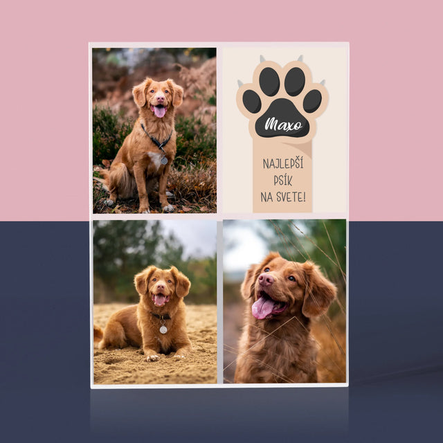 Fotokoláž: Najlepší Pes - Akrylový Blok (Vertikálne)