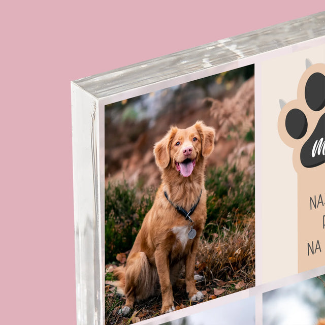 Fotokoláž: Najlepší Pes - Akrylový Blok (Vertikálne)