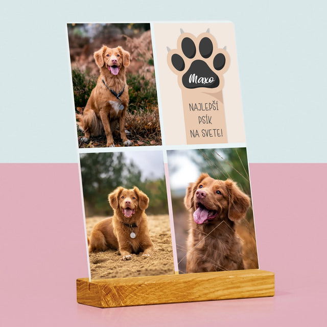 Fotokoláž: Najlepší Pes - Tlač Na Akrylové Sklo (Vertikálne)