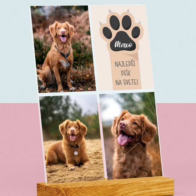 Fotokoláž: Najlepší Pes - Tlač Na Akrylové Sklo (Vertikálne)