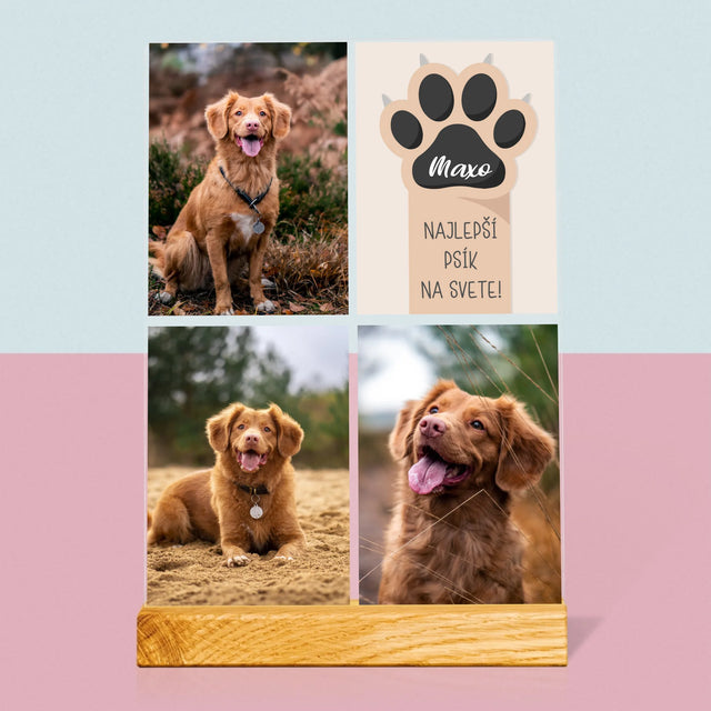 Fotokoláž: Najlepší Pes - Tlač Na Akrylové Sklo (Vertikálne)