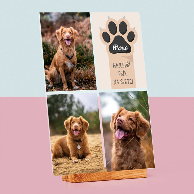 Fotokoláž: Najlepší Pes - Tlač Na Akrylové Sklo (Vertikálne)