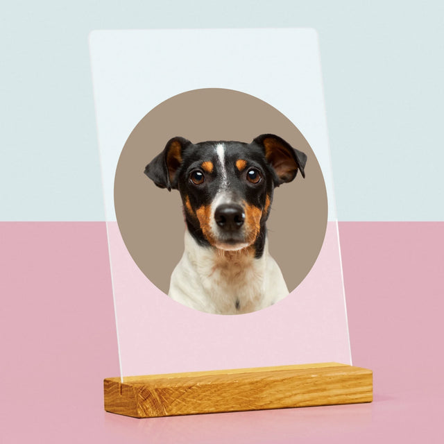 Fotografia: Tvoj Pes - Tlač Na Akrylové Sklo (Vertikálne)