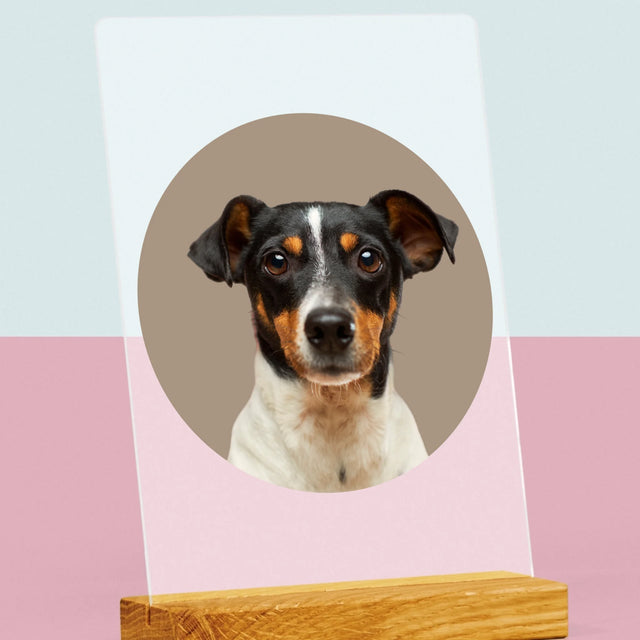 Fotografia: Tvoj Pes - Tlač Na Akrylové Sklo (Vertikálne)