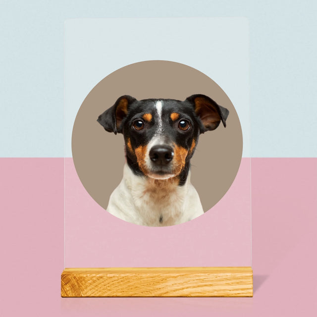 Fotografia: Tvoj Pes - Tlač Na Akrylové Sklo (Vertikálne)