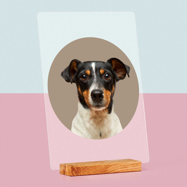 Fotografia: Tvoj Pes - Tlač Na Akrylové Sklo (Vertikálne)