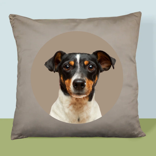 Fotografia: Tvoj Pes - Vankúš