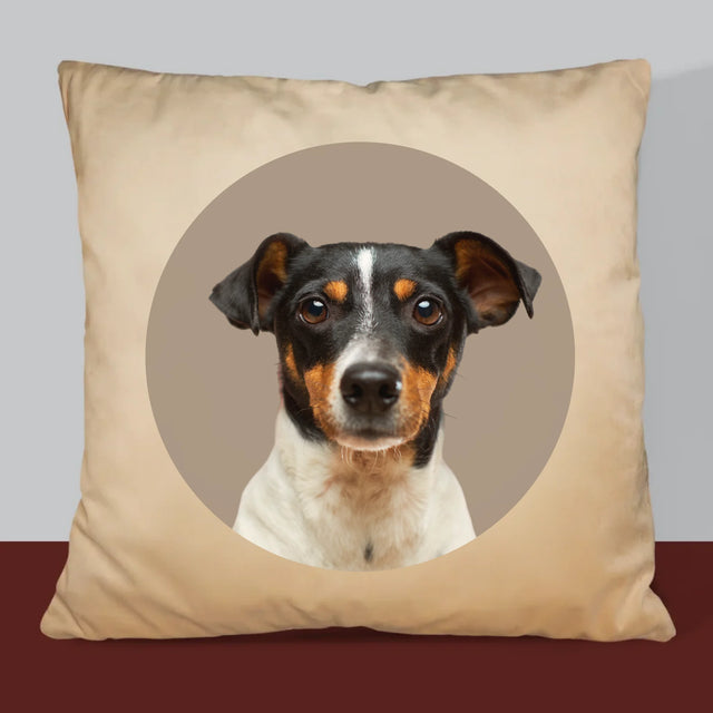 Fotografia: Tvoj Pes - Vankúš