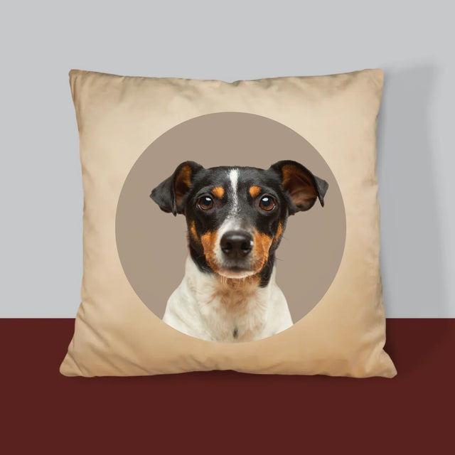 Fotografia: Tvoj Pes - Vankúš