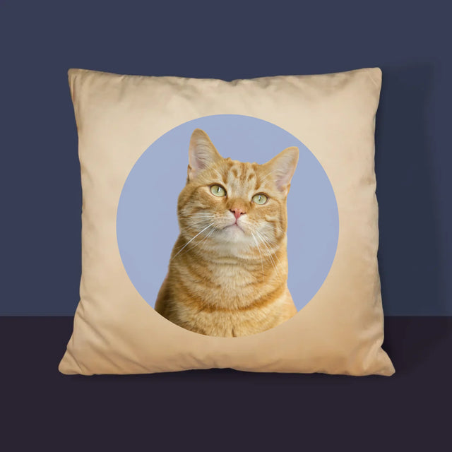 Fotografia: Tvoja Mačka - Vankúš