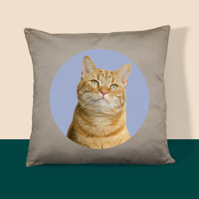 Fotografia: Tvoja Mačka - Vankúš