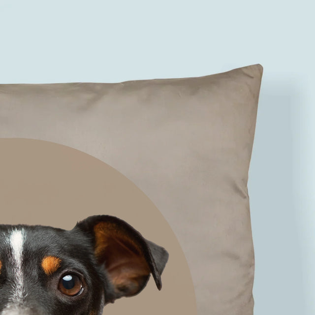 Fotografia: Tvoj Pes - Vankúš