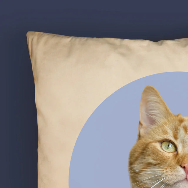 Fotografia: Tvoja Mačka - Vankúš