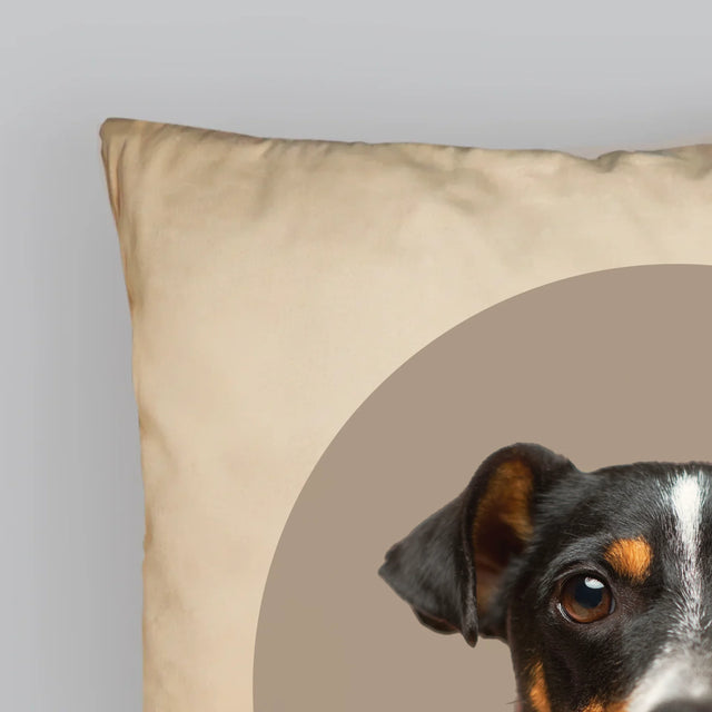 Fotografia: Tvoj Pes - Vankúš