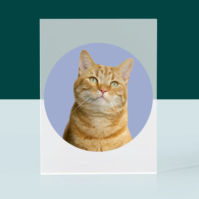 Fotografia: Tvoja Mačka - Akrylový Blok (Vertikálne)