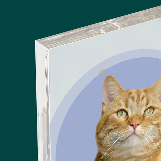 Fotografia: Tvoja Mačka - Akrylový Blok (Vertikálne)