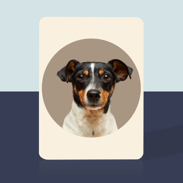 Fotografia: Tvoj Pes - Hracie Karty