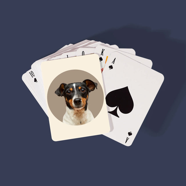 Fotografia: Tvoj Pes - Hracie Karty