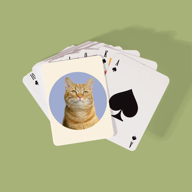 Fotografia: Tvoja Mačka - Hracie Karty