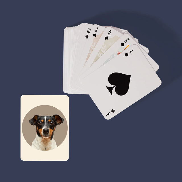 Fotografia: Tvoj Pes - Hracie Karty
