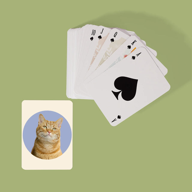 Fotografia: Tvoja Mačka - Hracie Karty