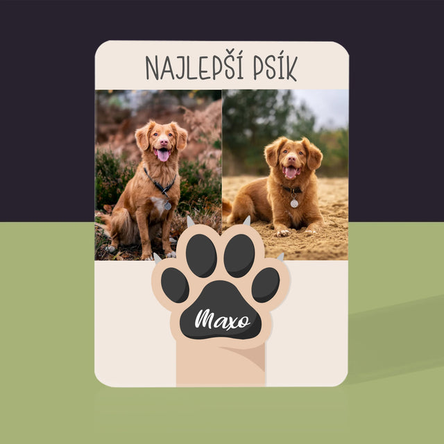 Fotokoláž: Najlepší Pes - Hracie Karty