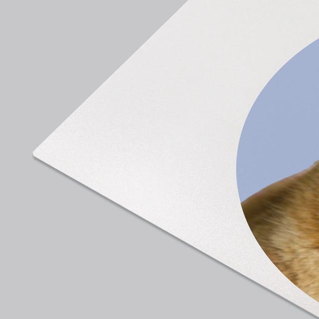 Fotografia: Tvoja Mačka - Podložka Na Stôl