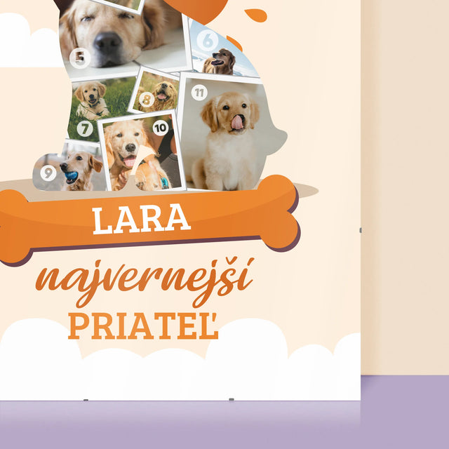 Tvar Z Fotografií: Pes - Plagát