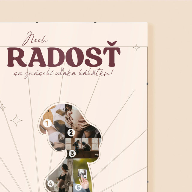 Tvar Z Fotografií: Radosť - Plagát