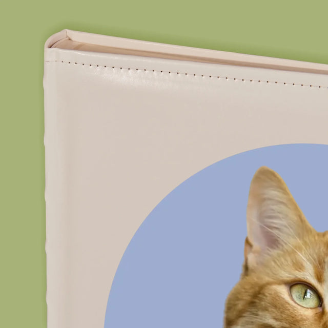 Fotografia: Tvoja Mačka - Album Na Fotografie