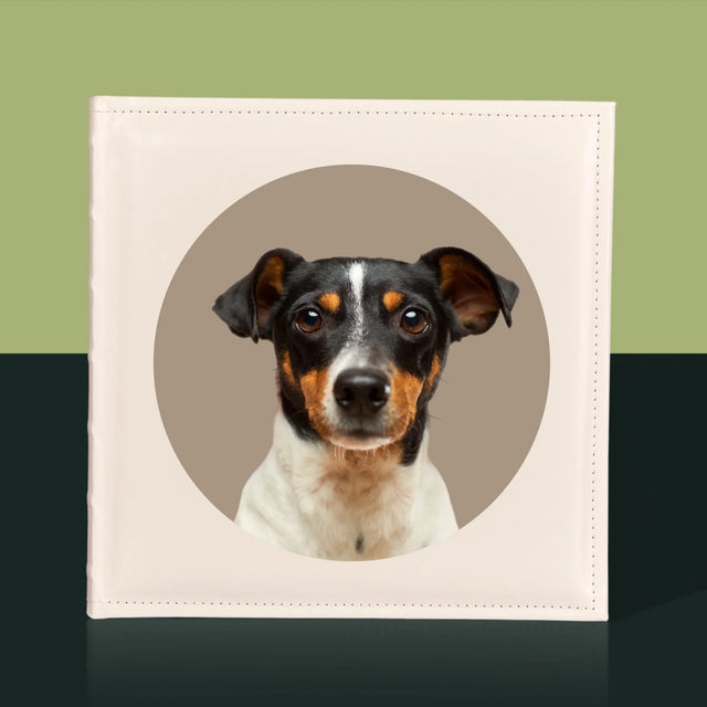 Fotografia: Tvoj Pes - Album Na Fotografie