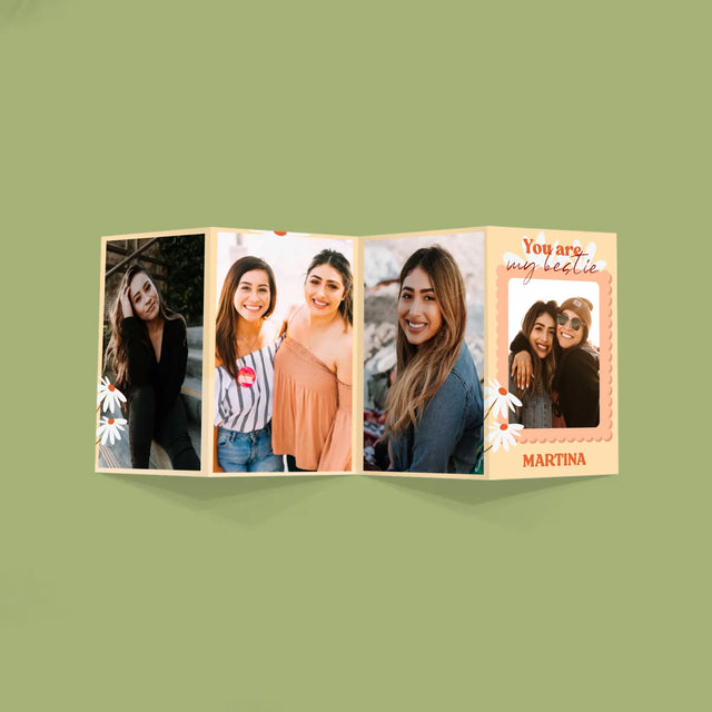 Fotokoláž: Fotografia Besties - Veľká Harmonika Z Fotografií
