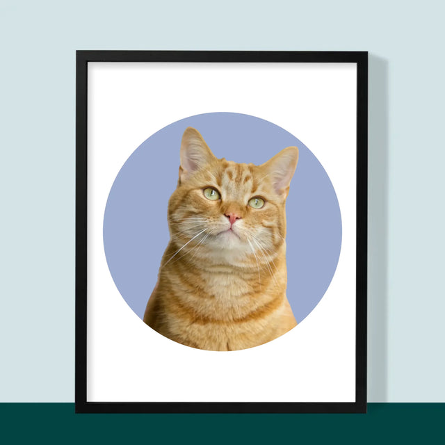 Fotografia: Tvoja Mačka - Zarámováná Tlač 30X40 (Vertikálne)