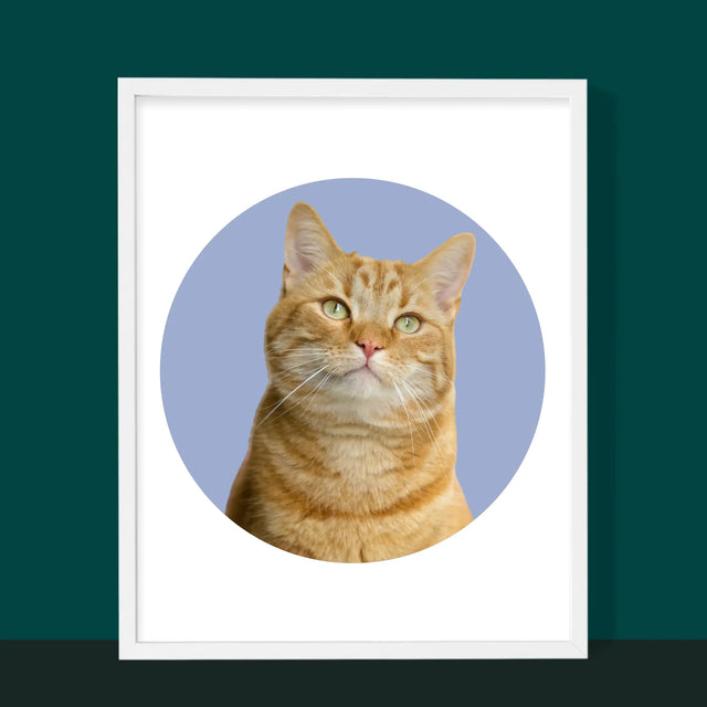 Fotografia: Tvoja Mačka - Zarámováná Tlač 30X40 (Vertikálne)