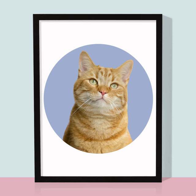 Fotografia: Tvoja Mačka - Zarámováná Tlač 30X40 (Vertikálne)