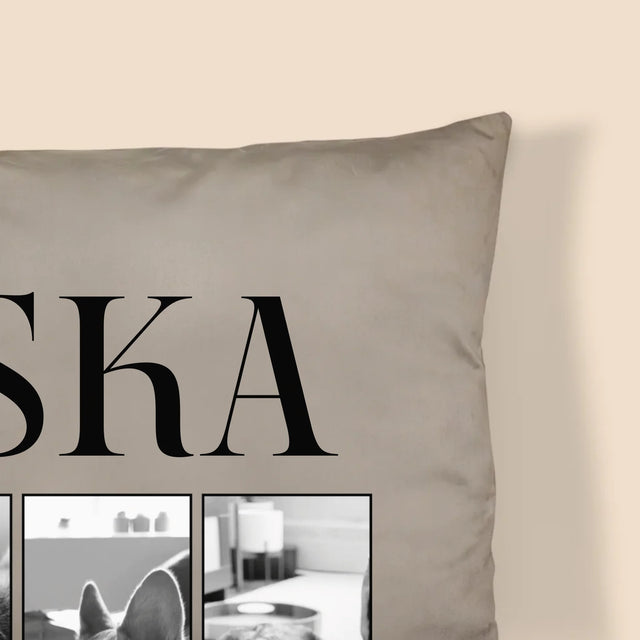 Fotokoláž: Klasický Bootleg S Domácim Miláčikom - Vankúš