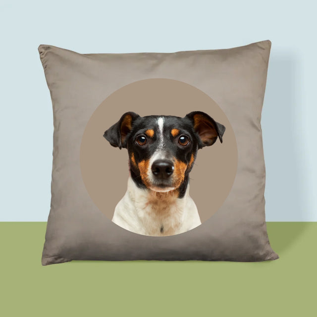 Fotografia: Tvoj Pes - Vankúš 