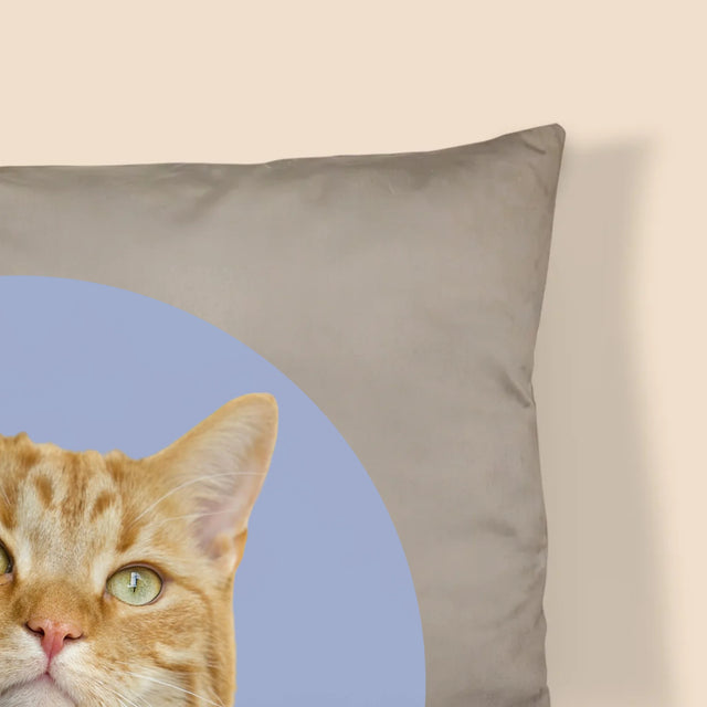 Fotografia: Tvoja Mačka - Vankúš 