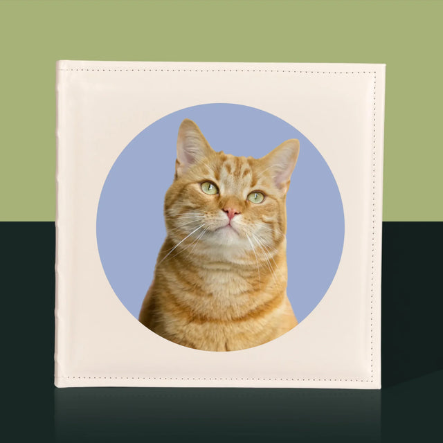 Fotografia: Tvoja Mačka - Album Na Fotografie