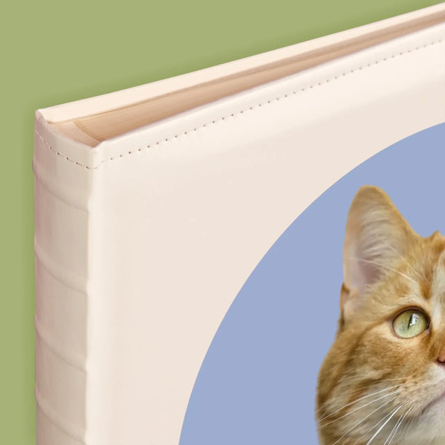 Fotografia: Tvoja Mačka - Album Na Fotografie