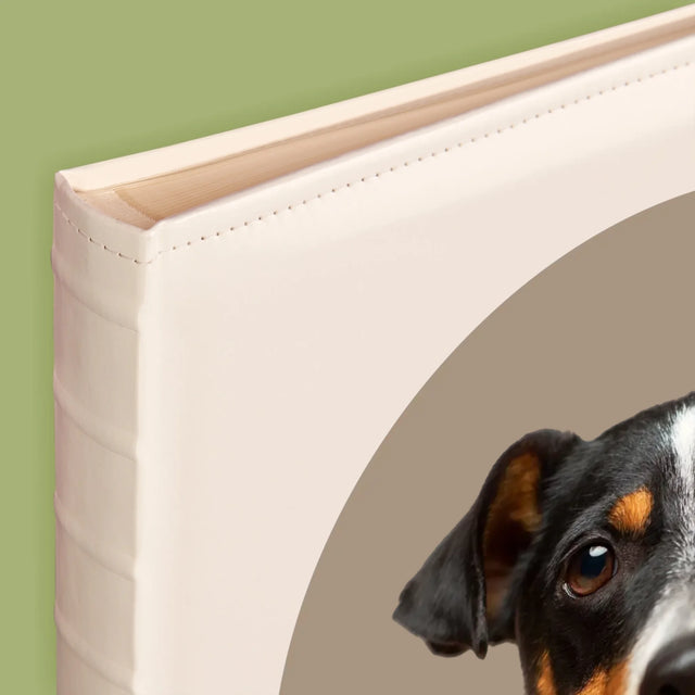 Fotografia: Tvoj Pes - Album Na Fotografie