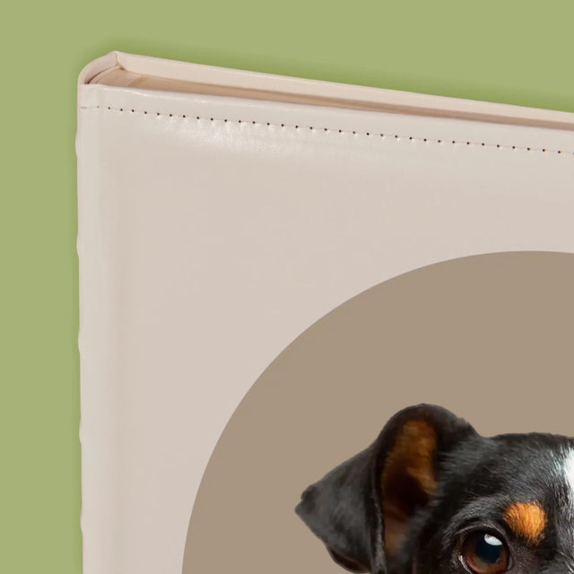 Fotografia: Tvoj Pes - Album Na Fotografie