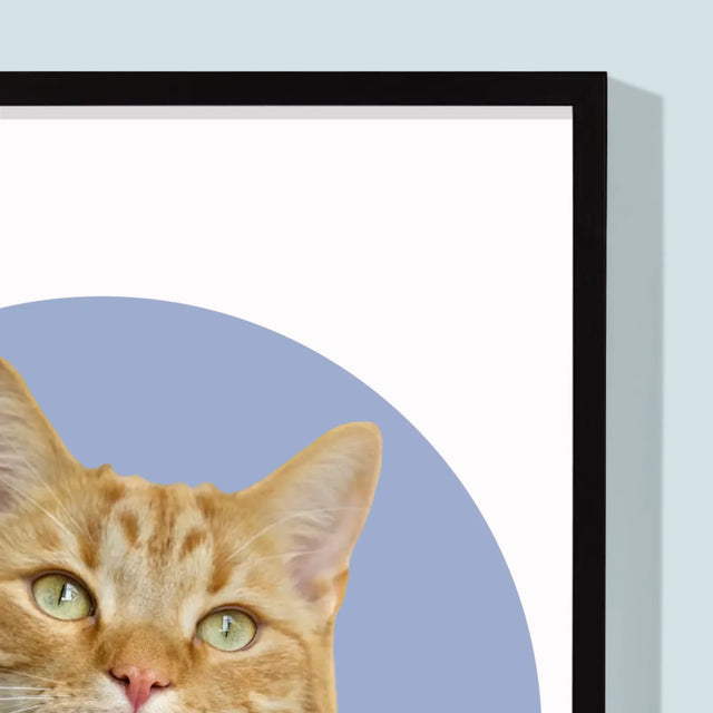 Fotografia: Tvoja Mačka - Zarámováná Tlač 30X40 (Vertikálne)