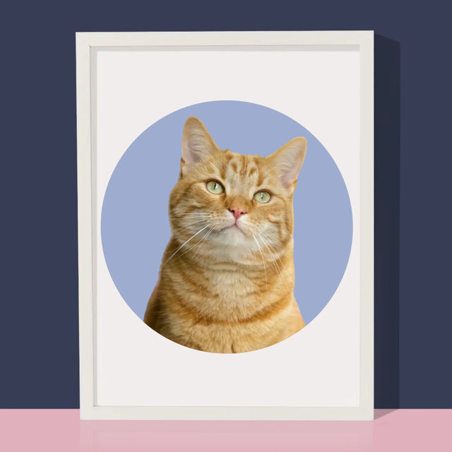 Fotografia: Tvoja Mačka - Zarámováná Tlač 30X40 (Vertikálne)