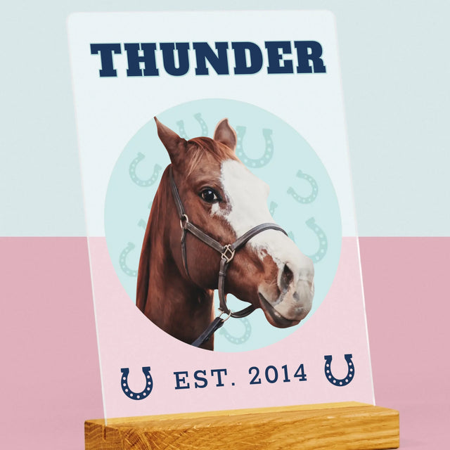 Twoja Postać: Twój Koń Varsity - Wydruk Na Szkle Akrylowym | DE