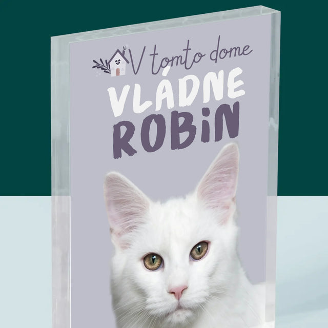 Fotografia A Podpis: V Tomto Dome Vládne Zviera - Akrylový Blok (Vertikálne)