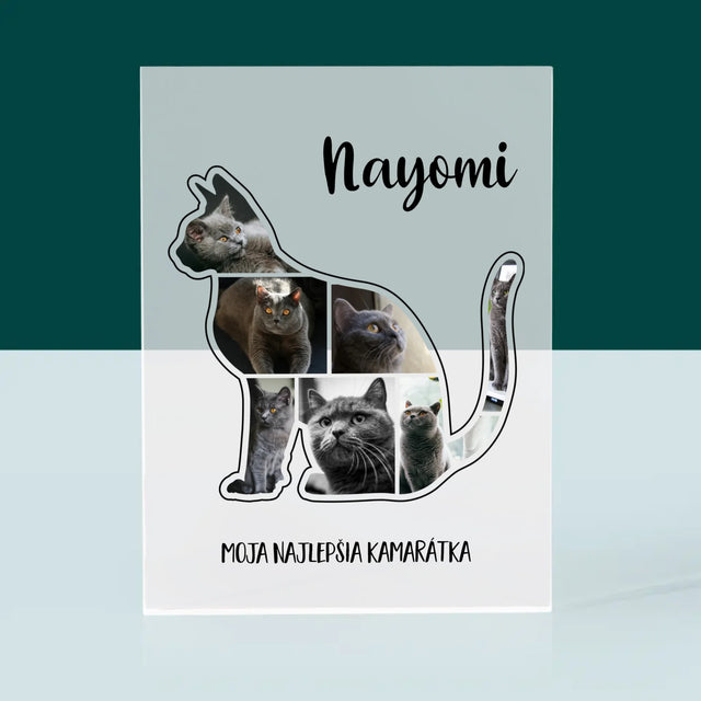 Tvar Z Fotografií: Mačka Najlepšia Kamarátka - Akrylový Blok (Vertikálne)
